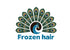 Frozen Hair